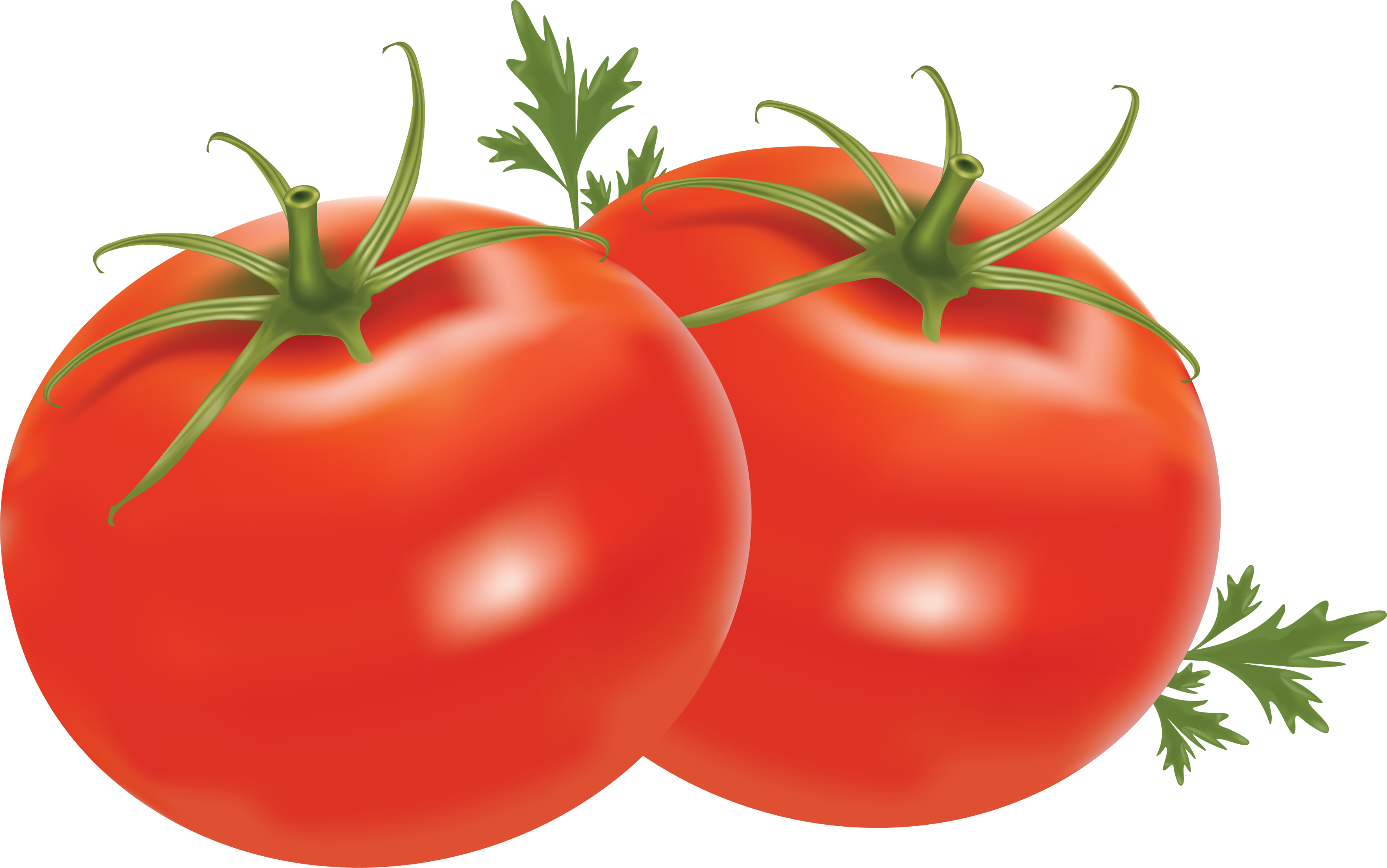 Download Red Tomatoes PNG Image For Free