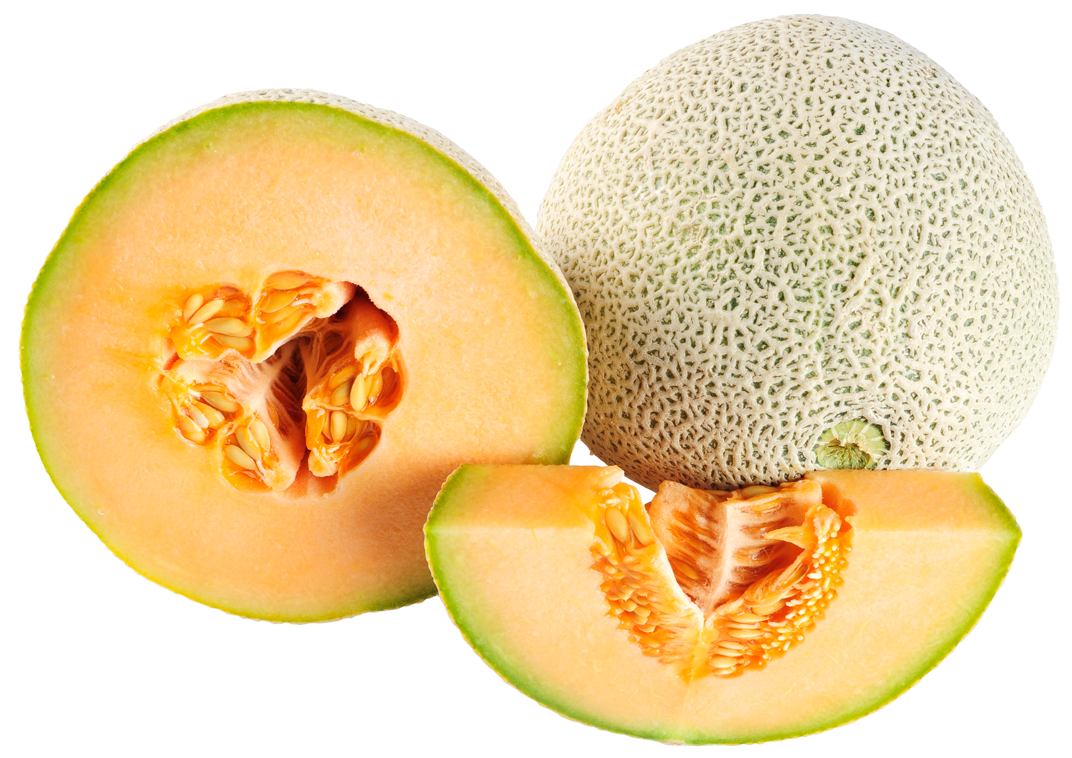 Ripe Cantaloupe Melon PNG Image