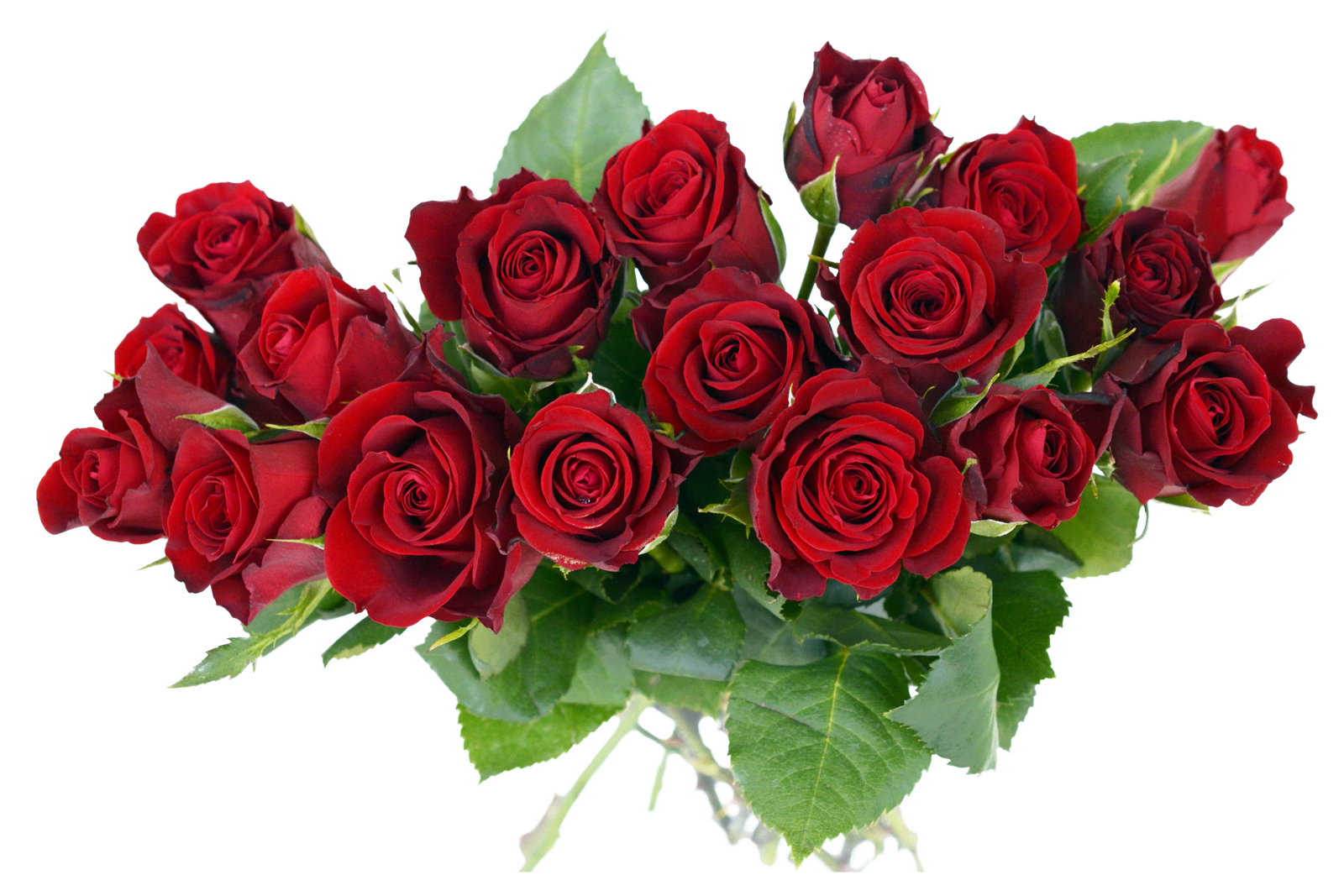 Rose Bouquet PNG Image - PurePNG | Free transparent CC0 PNG Image Library