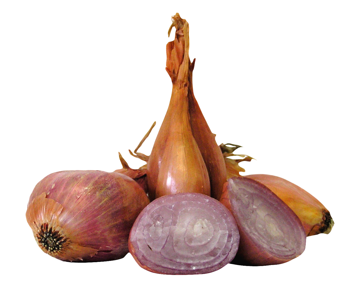 Shallot Onions PNG Image
