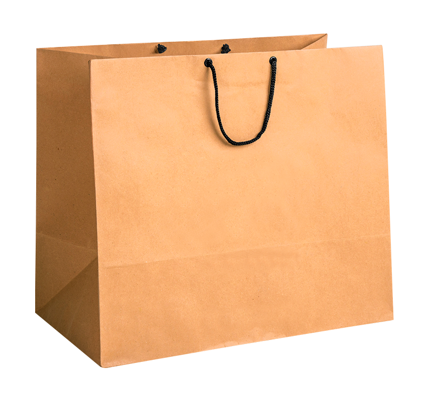 Shopping Bag PNG Image