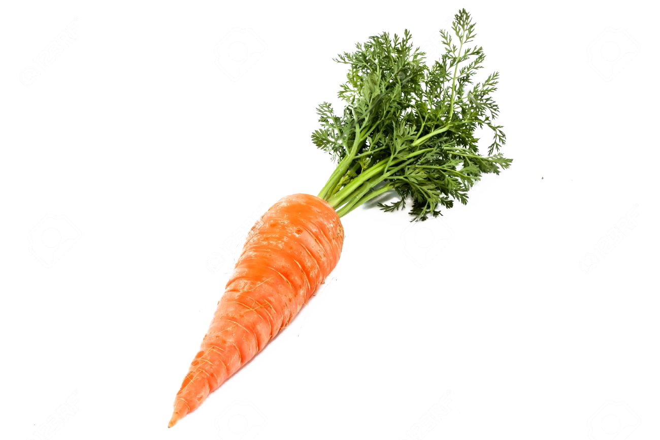 Single Carrot PNG Image