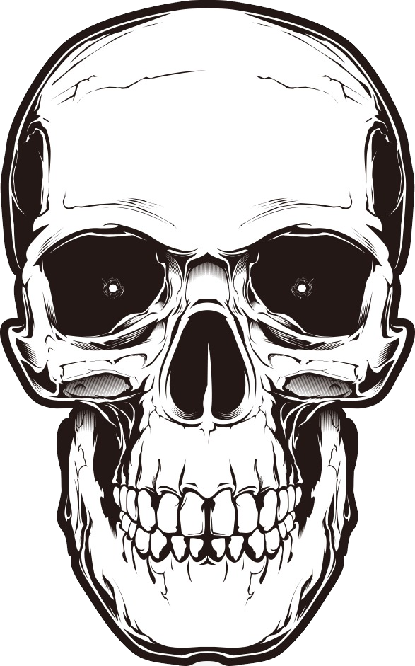 Skulls PNG Image