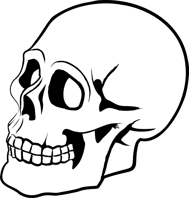 2258+ Skull Svg File for Cricut - 2258+ Skull Svg File for Cricut Skull