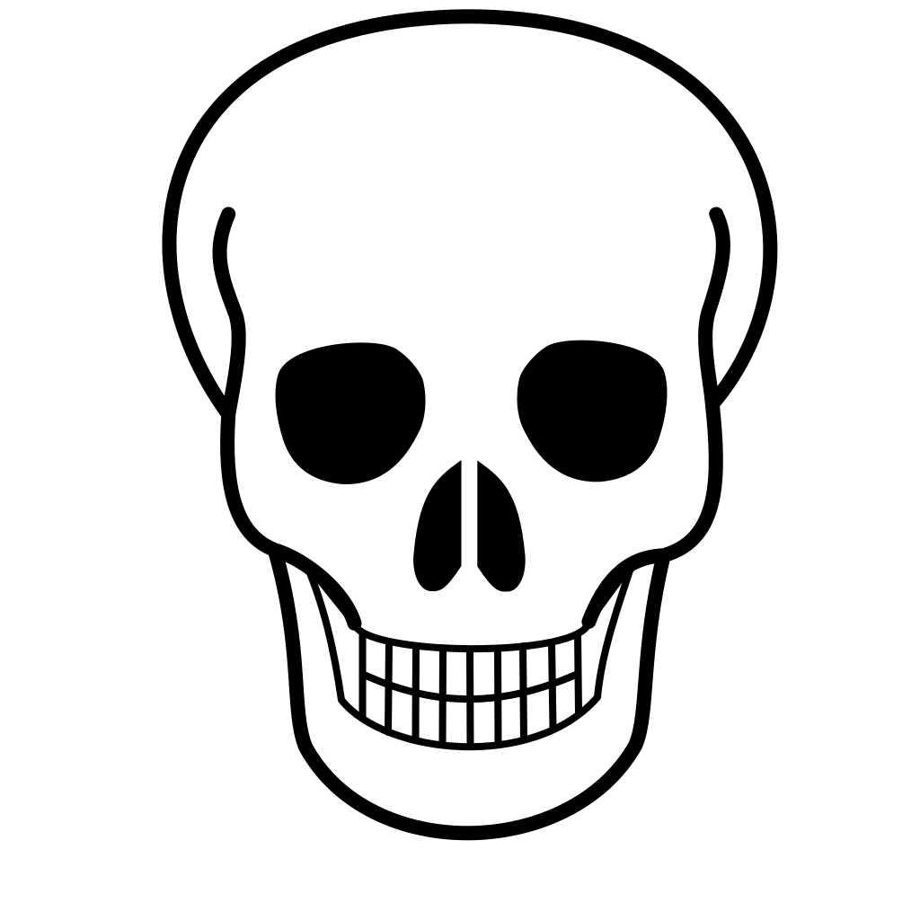 quality free PNG image without any background is about skull, human skull, ...