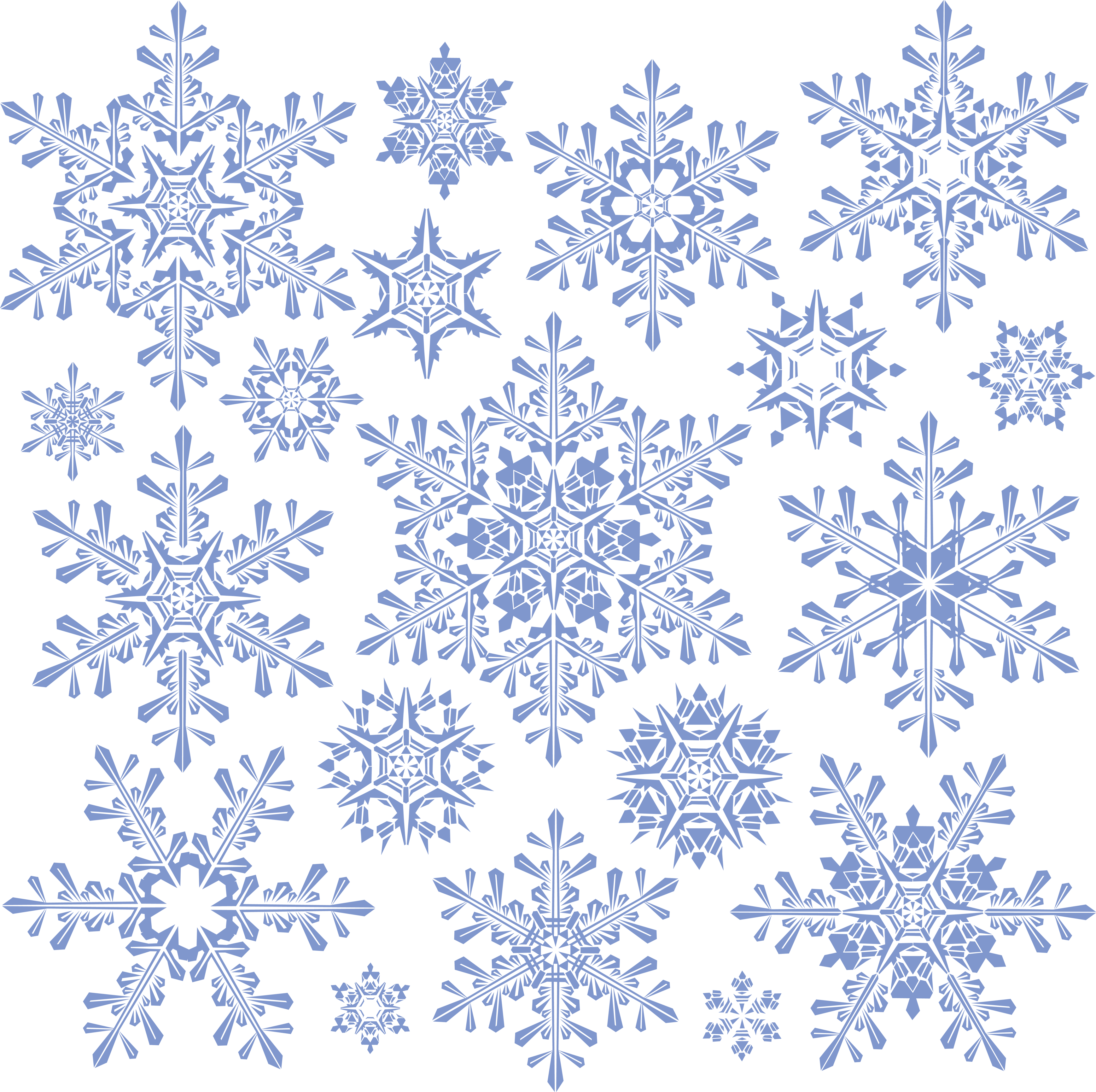 Frosty Snowflake Collection  PNG Image