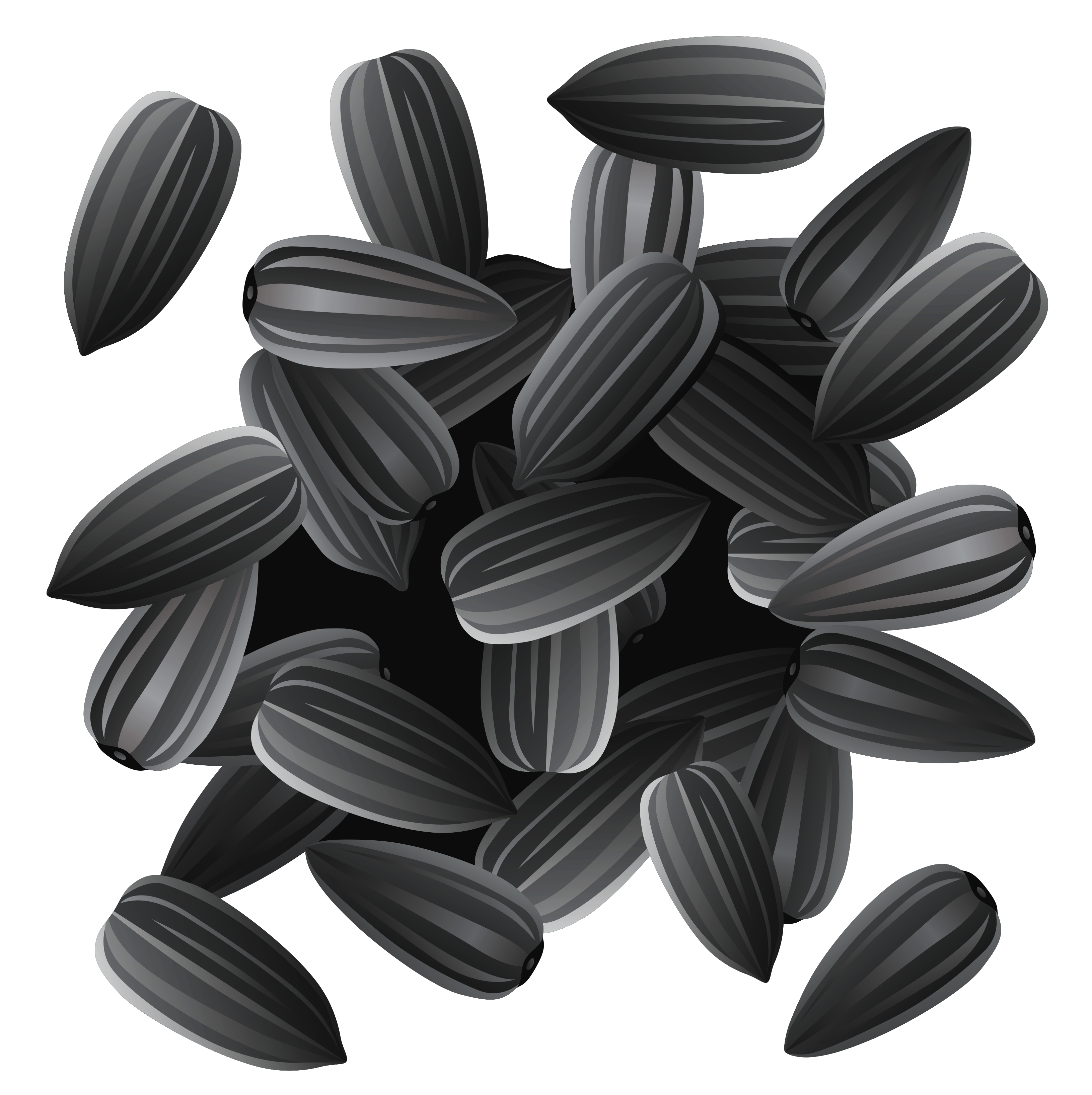 Sunflower Seeds PNG Image