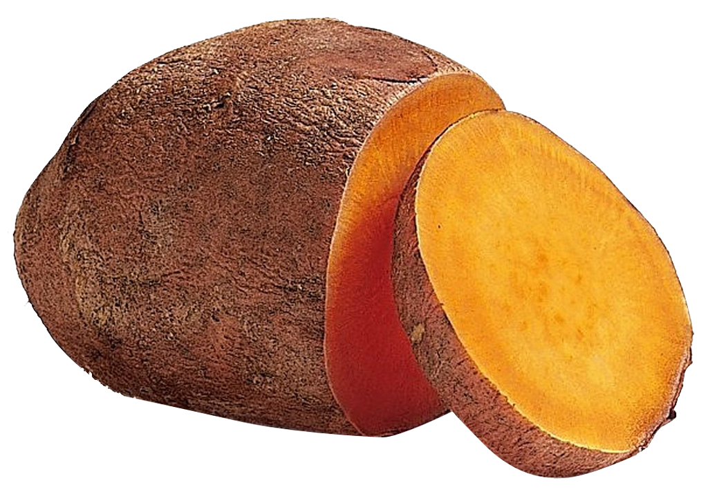 Sweet Potato Slice PNG Image
