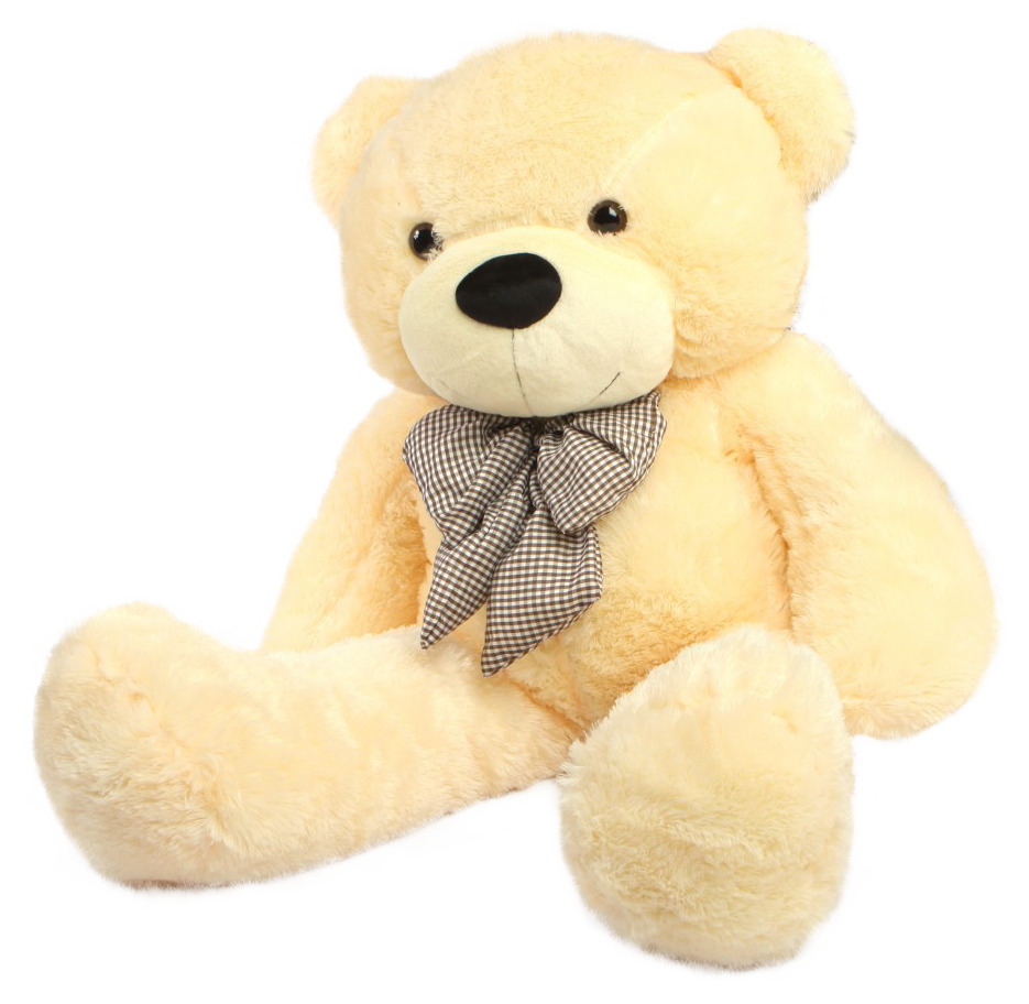 Teddy Bear PNG Image