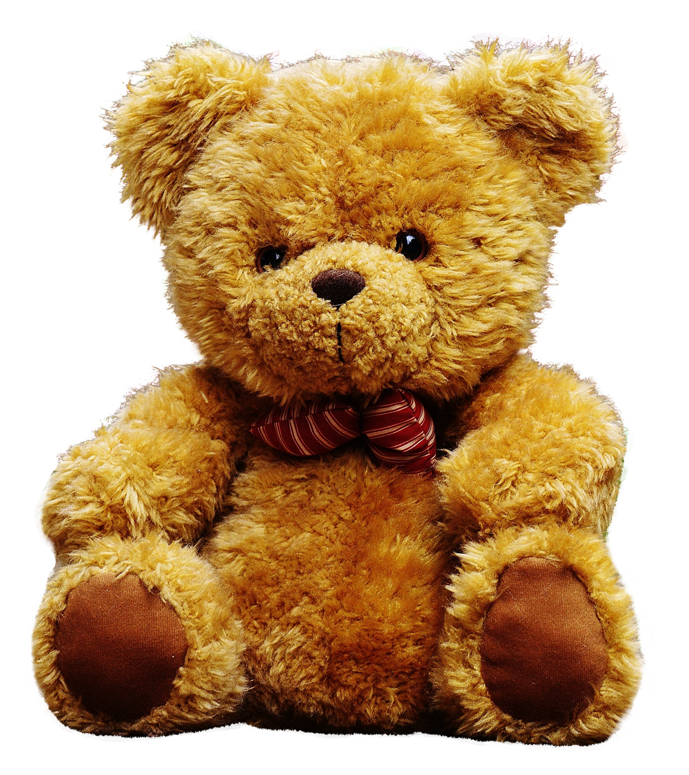 Teddy bear osito onlyfans