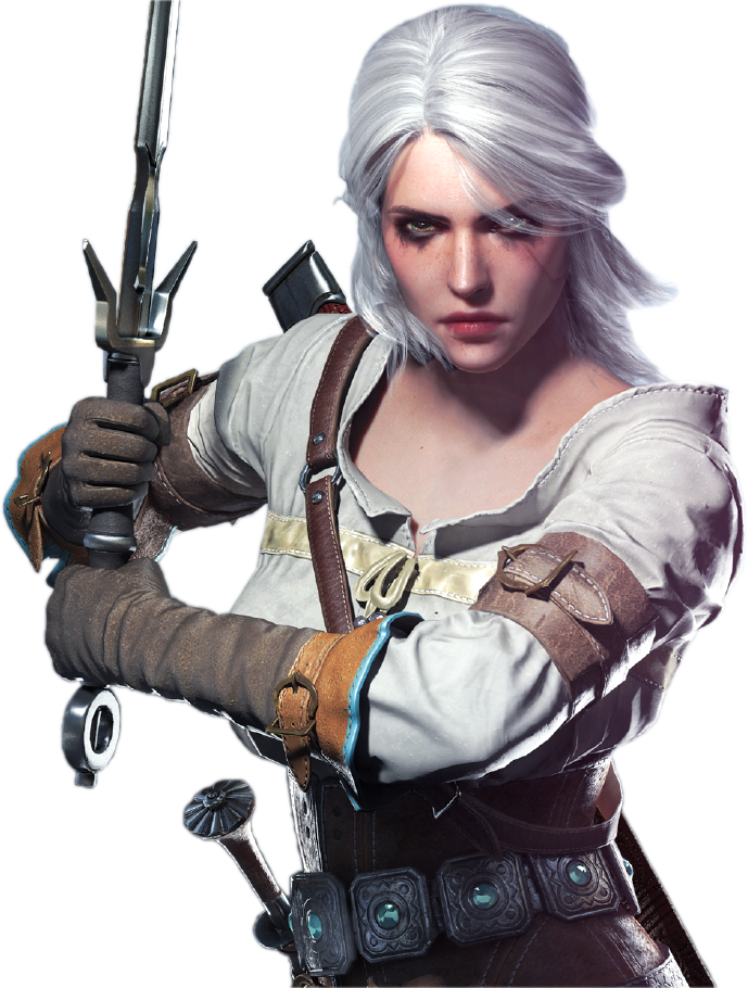 The Witcher  PNG Image