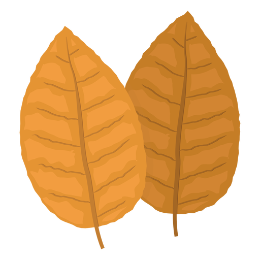 Tobacco PNG Image