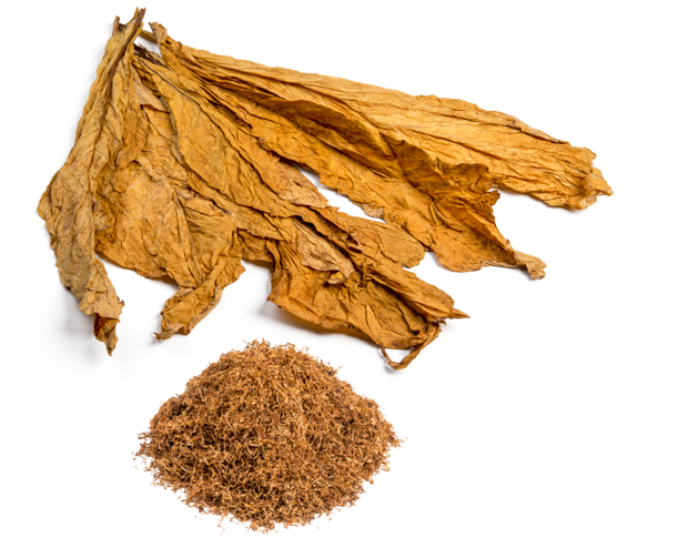 Tobacco PNG Image