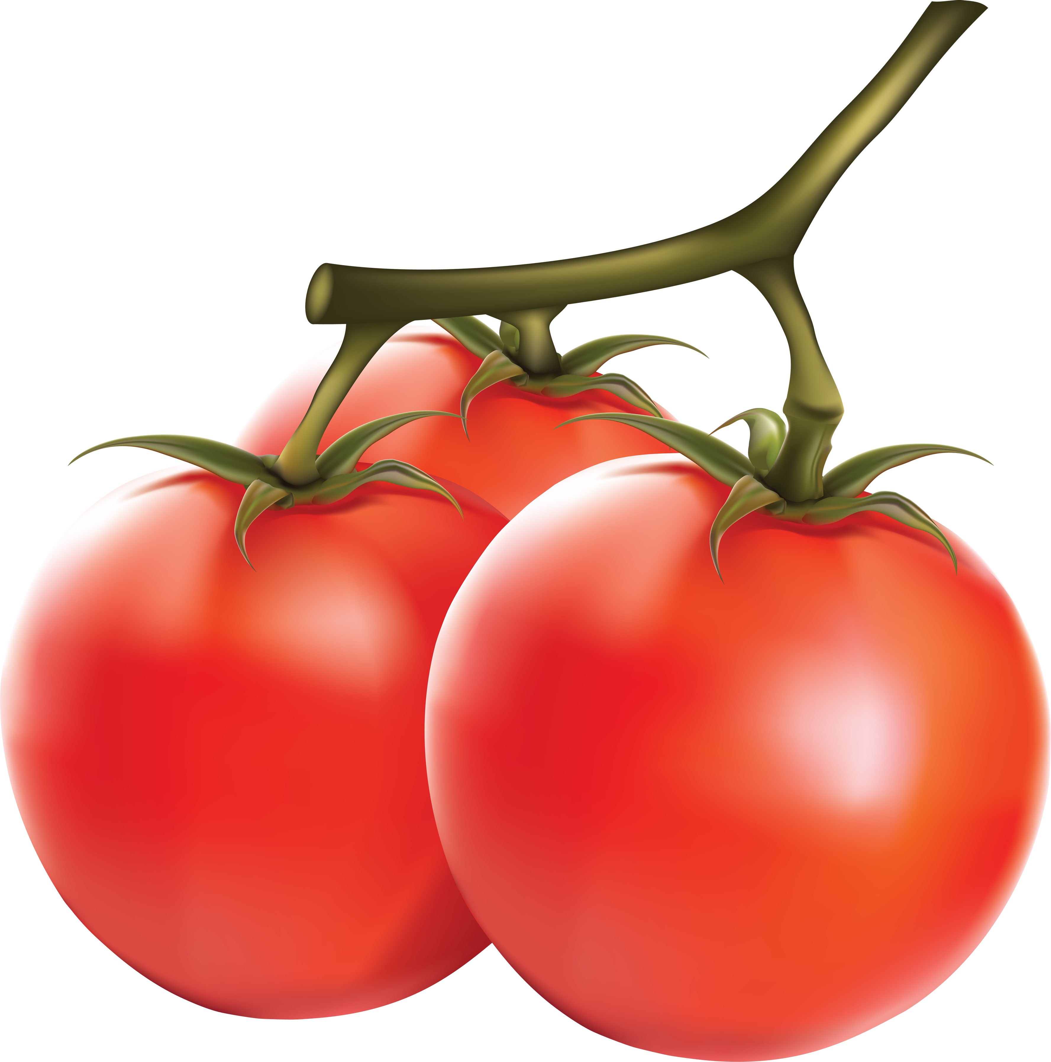Tomato PNG Image