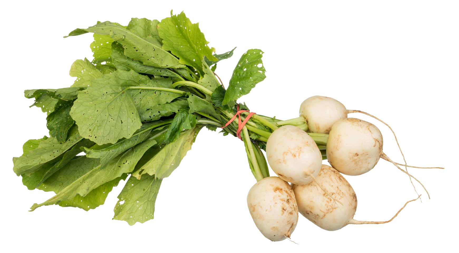 Turnips PNG Image