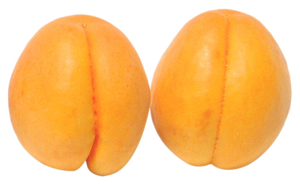 Two Apricots PNG Image