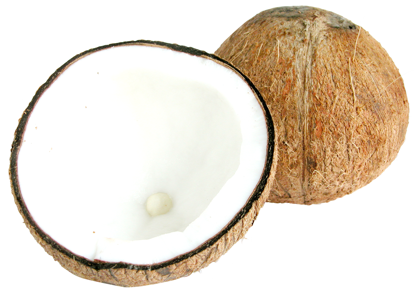 Two Half Coconuts PNG Image