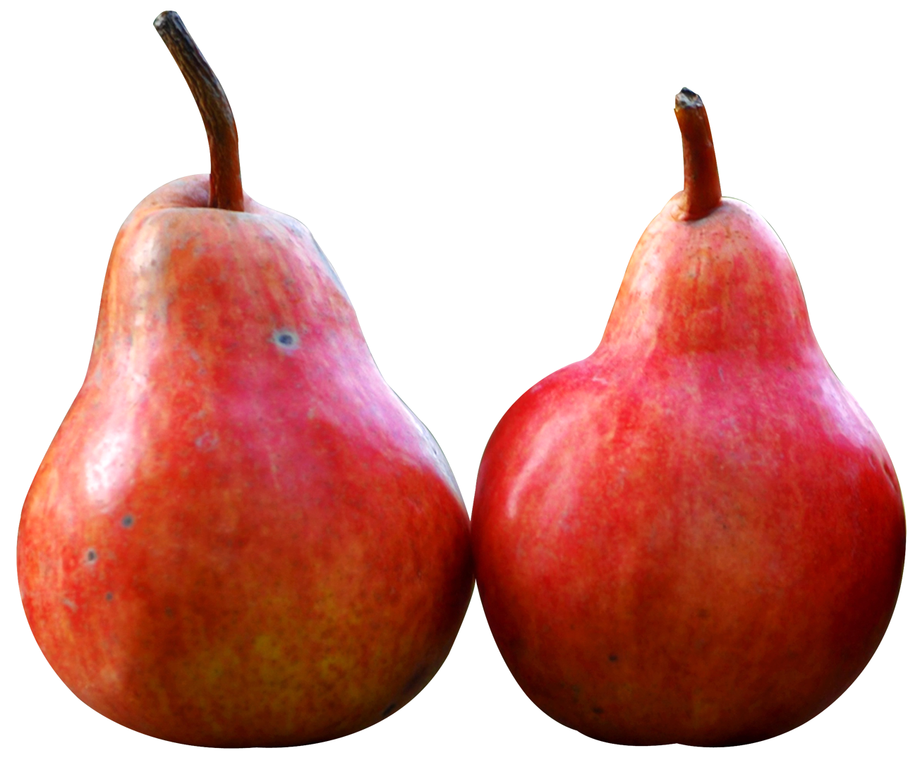 Two Pear Fruits PNG Image
