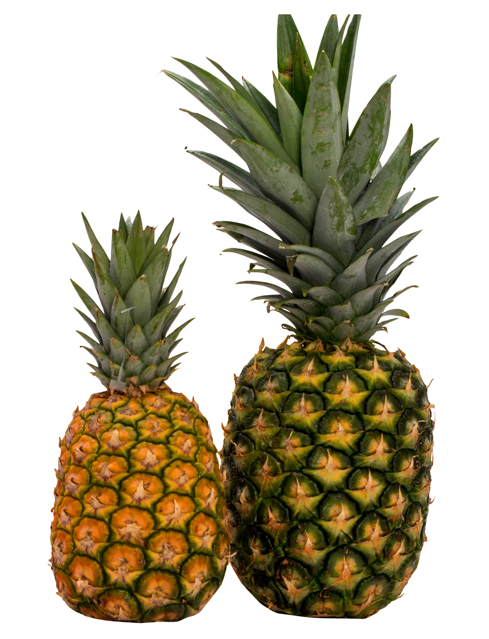 Two Pineapple PNG Image