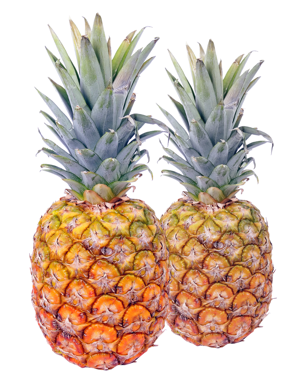 Two Pineapple