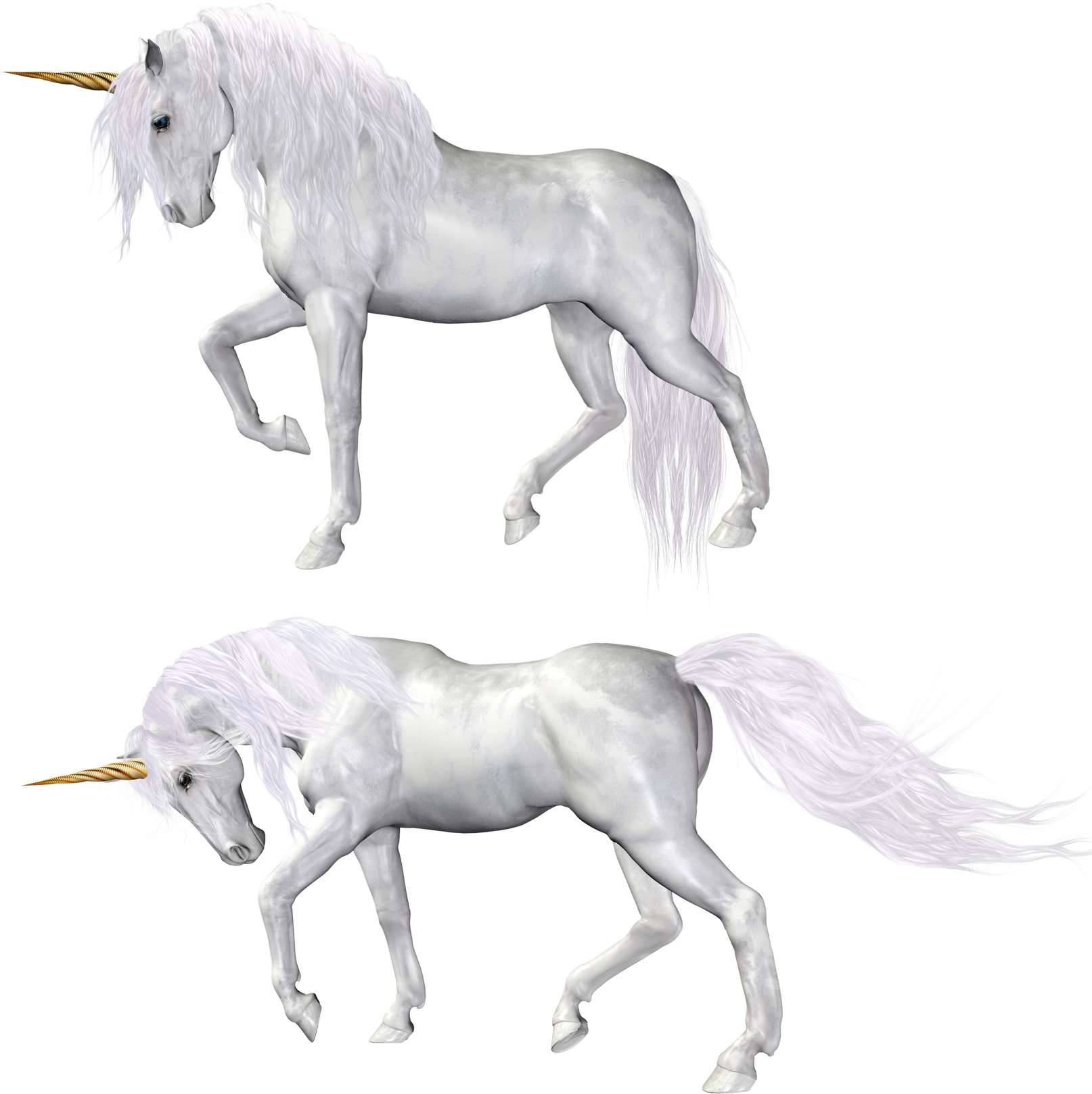 Unicorn PNG Image