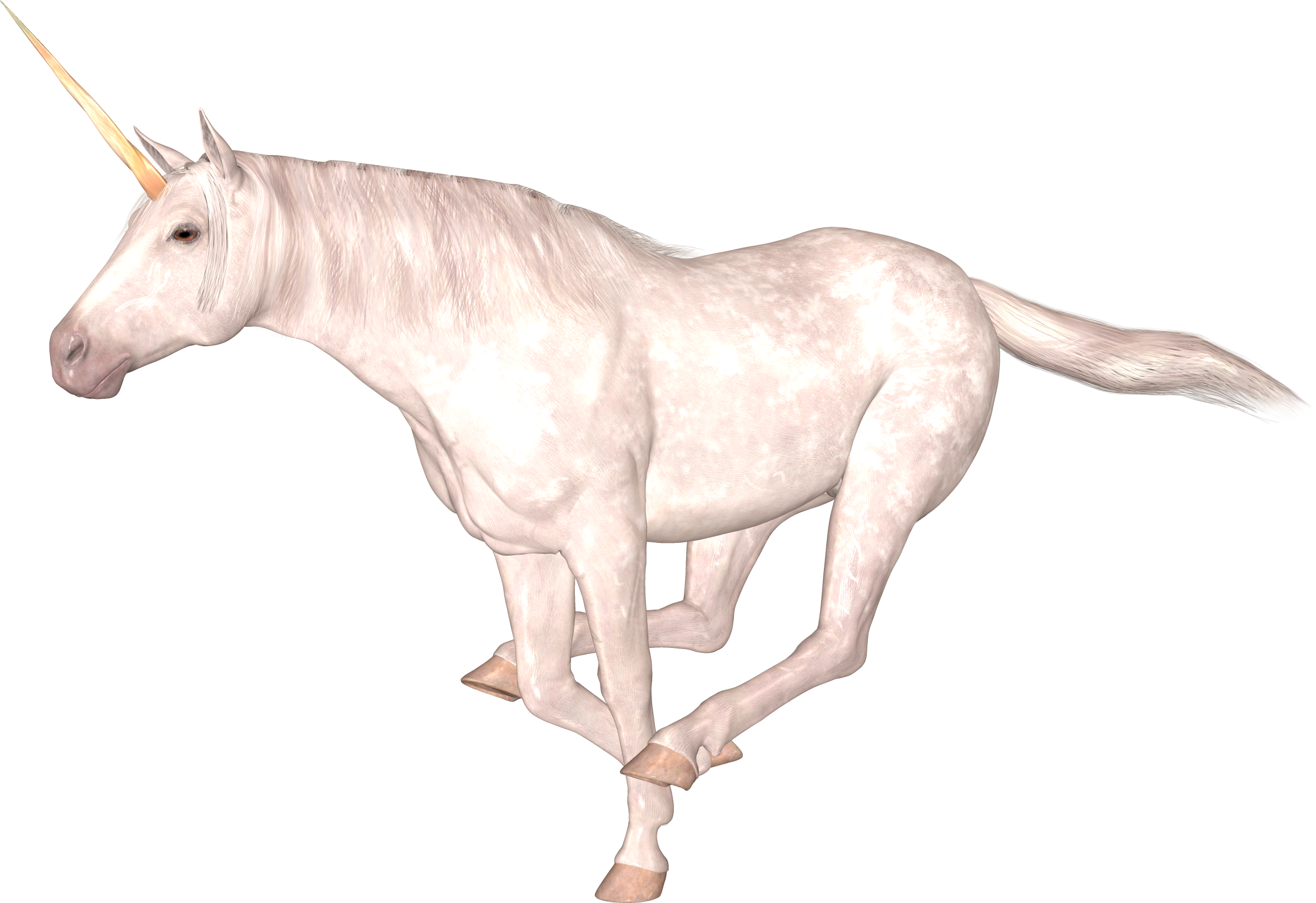 Unicorn PNG Image