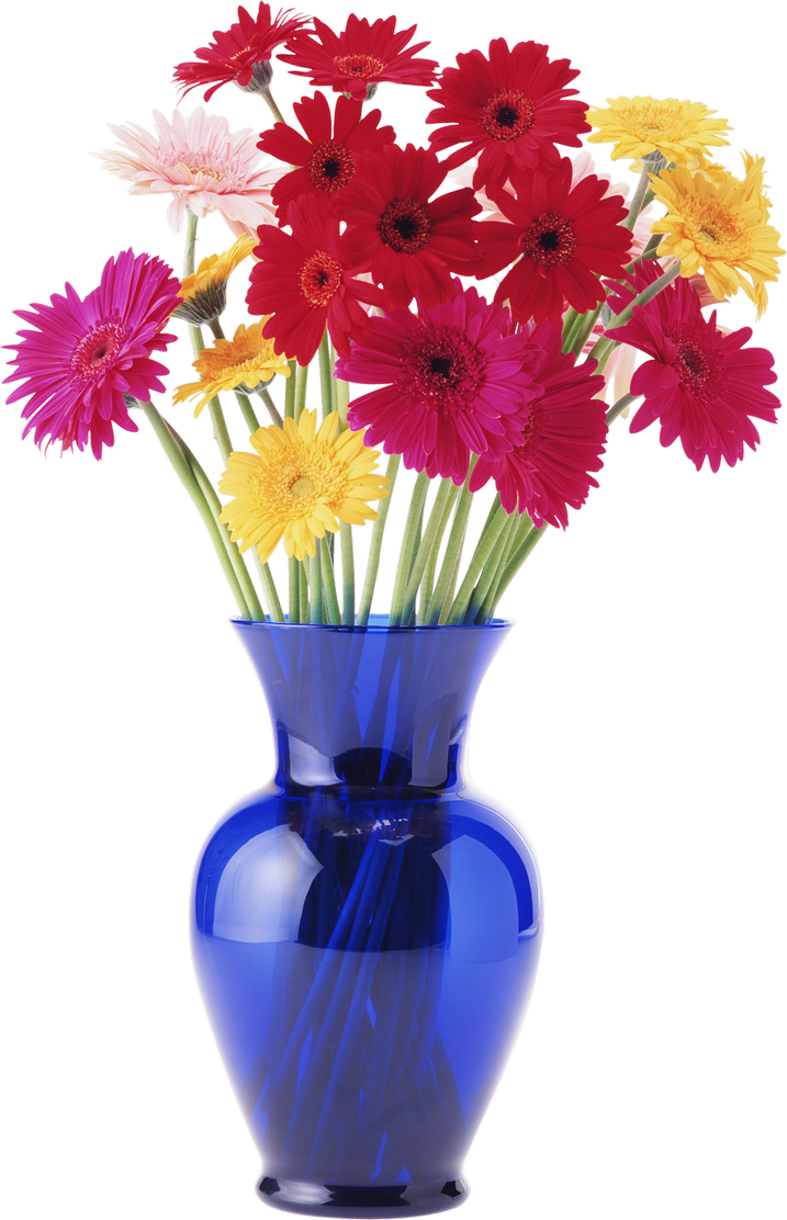 Flower Vase Images Png Best Flower Site