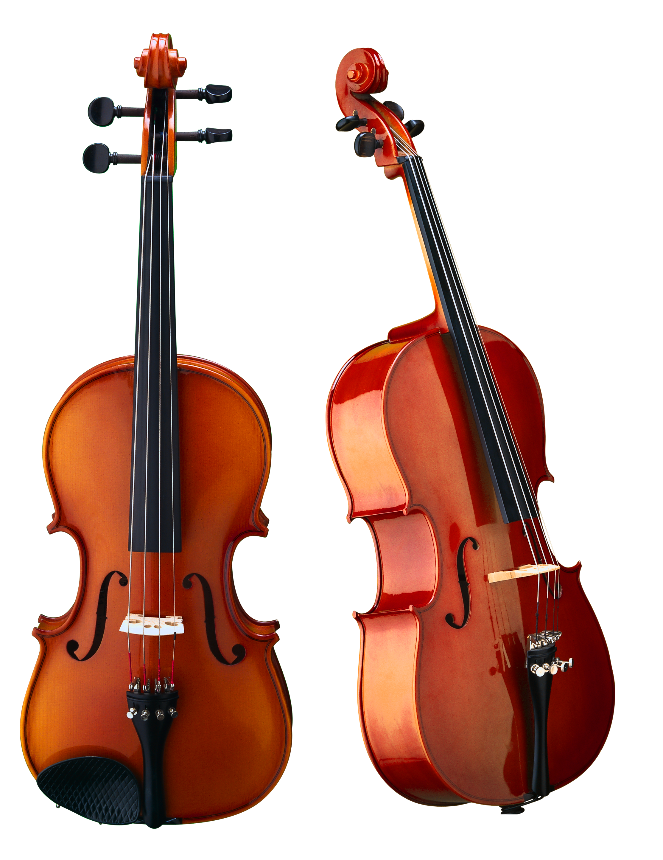 Violin & Bow