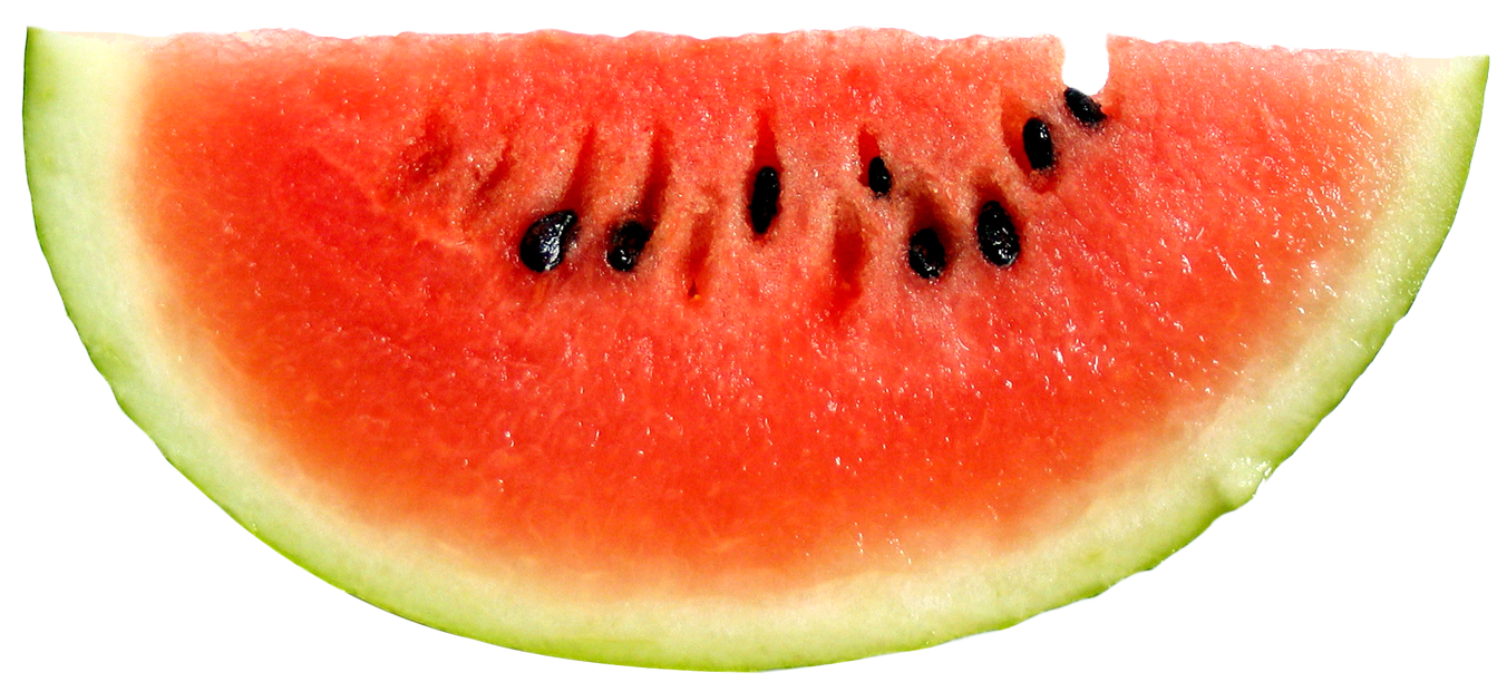 Watermelon Slice