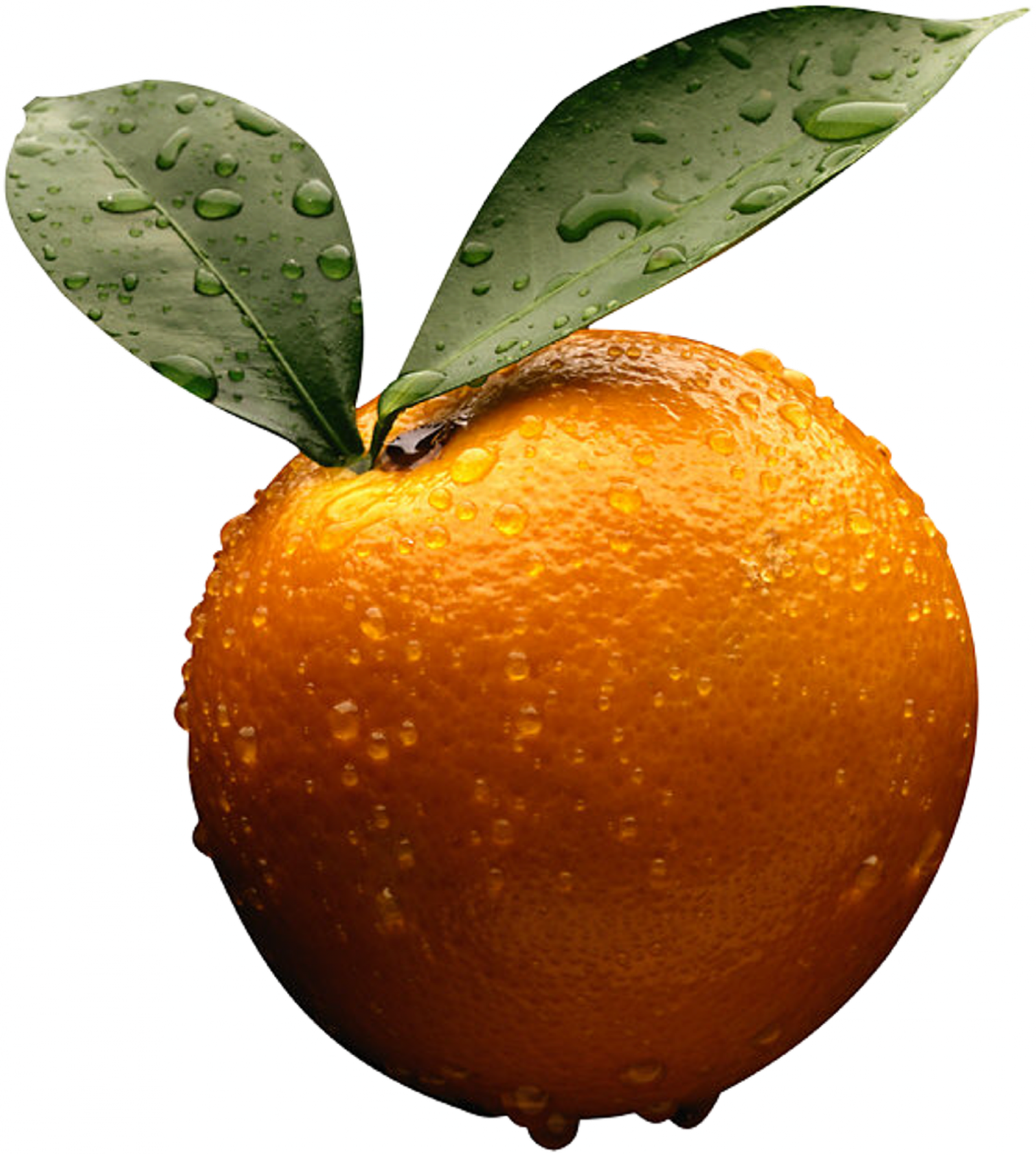 Wer Orange PNG Image