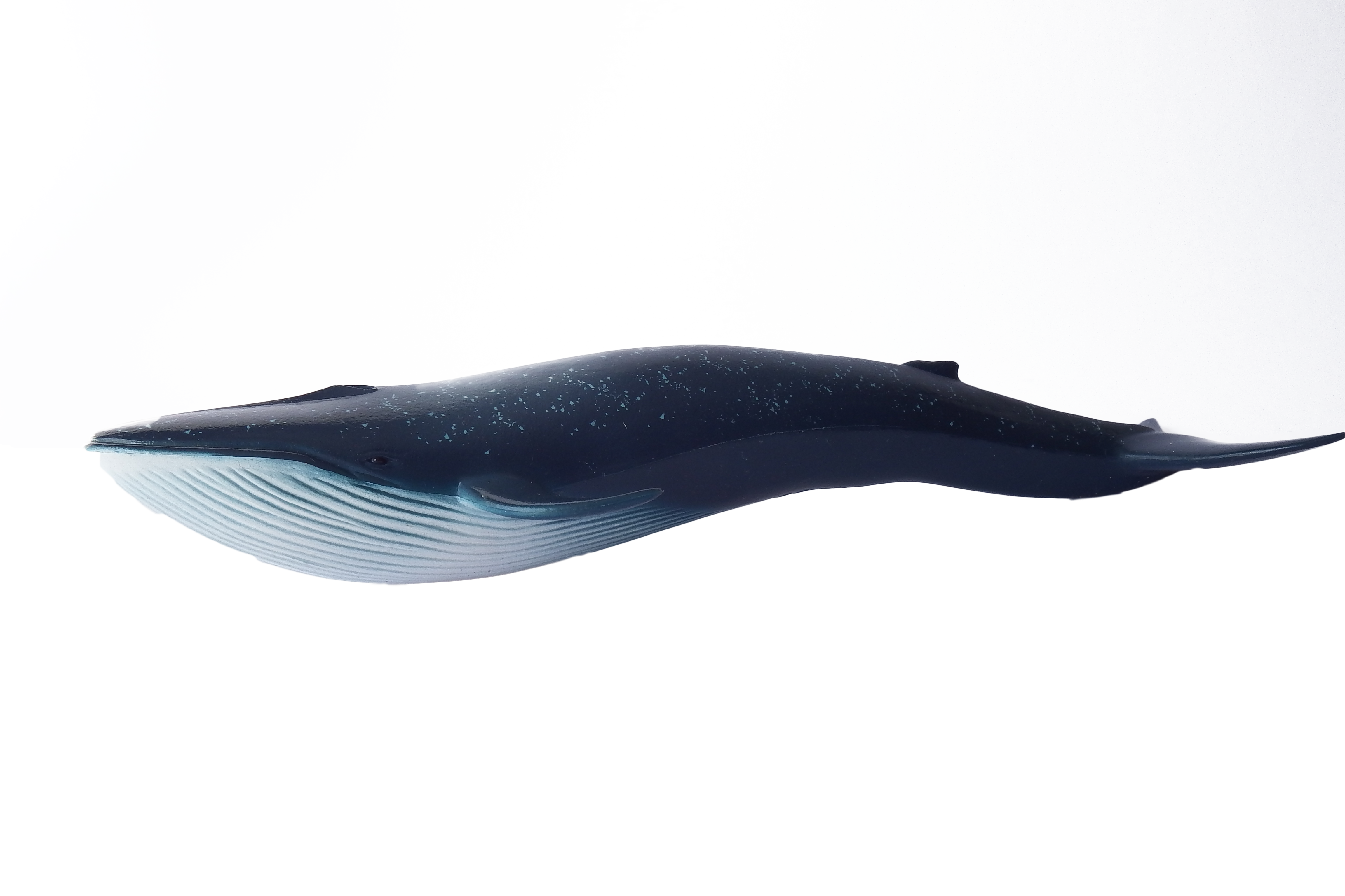 Whale Blue Swimming PNG Image