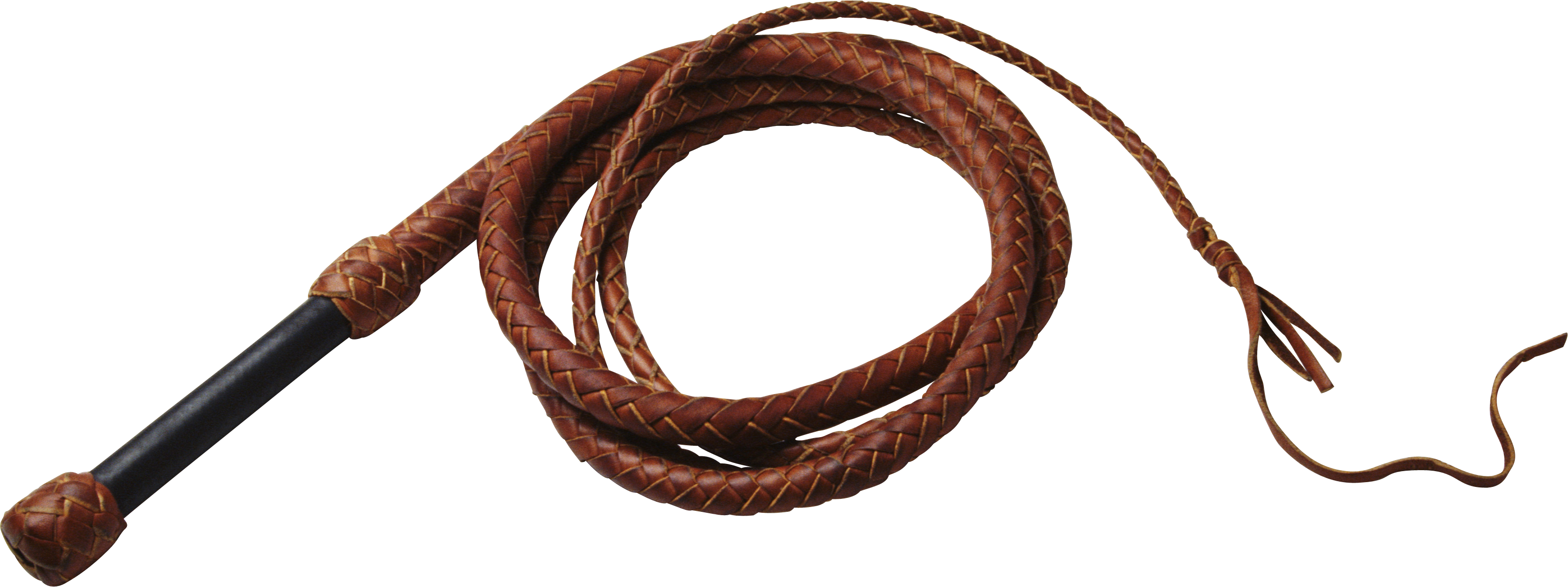 Download Whip PNG Image for Free