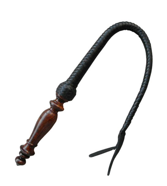 Whip PNG Image