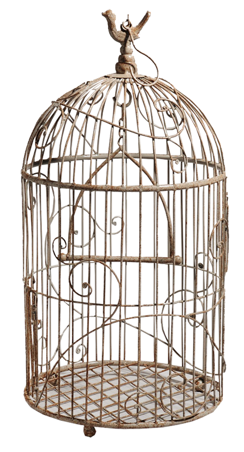 White Bird Cage PNG Image