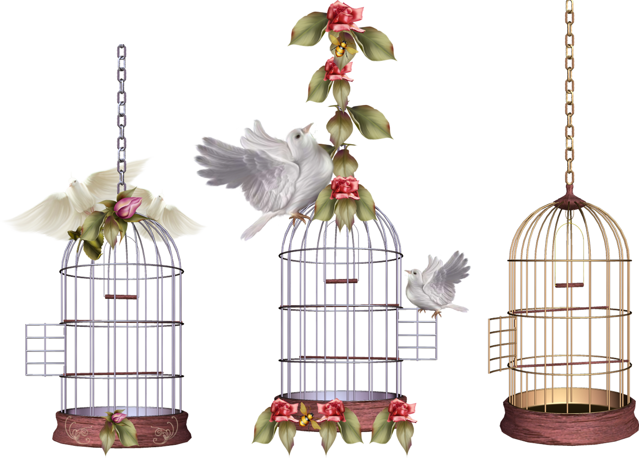 White Bird Cage PNG Image