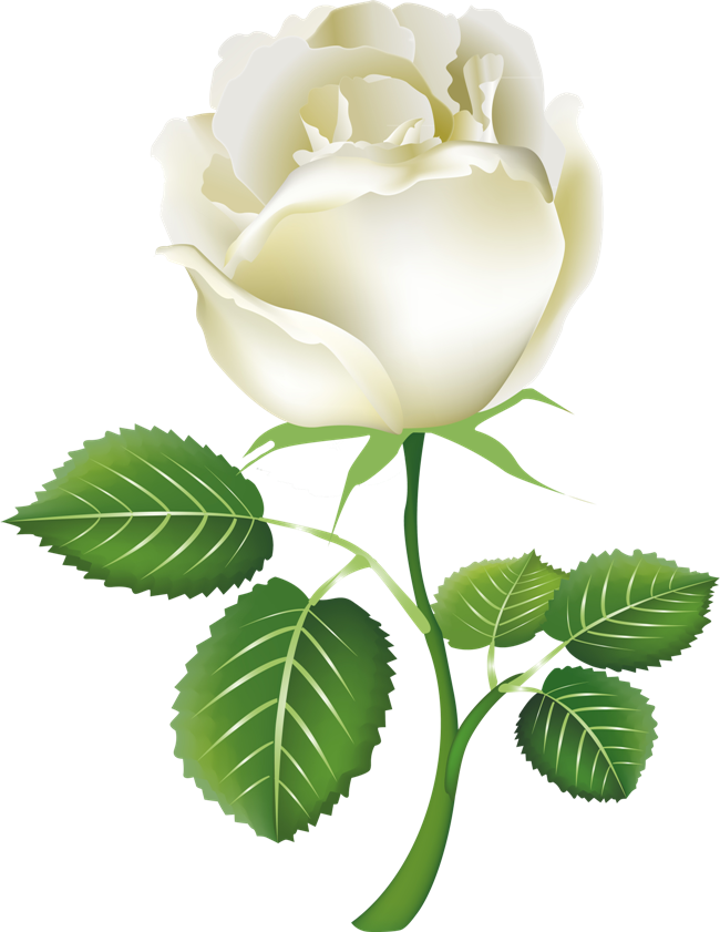 White Roses PNG Image