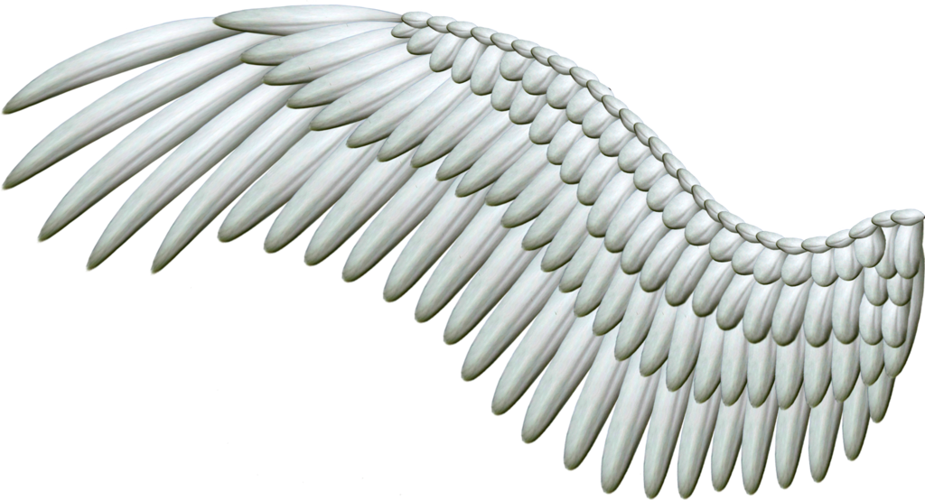 White Wings PNG Image