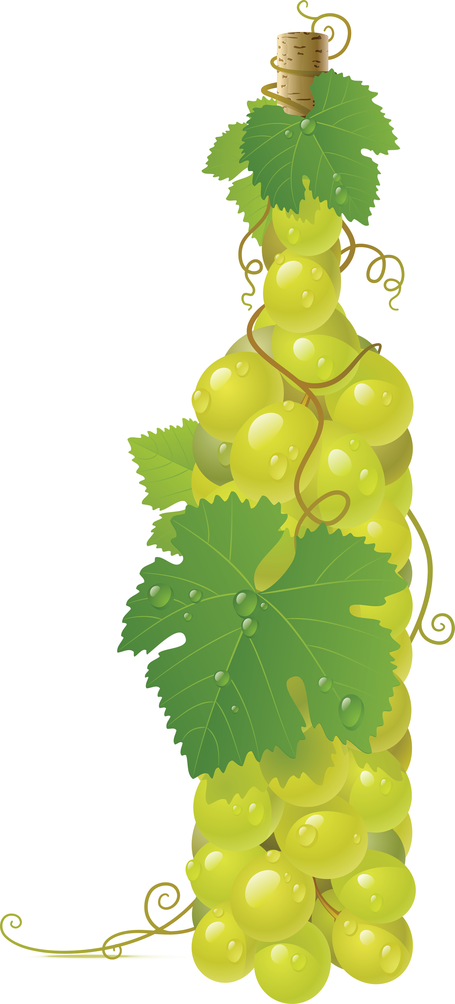 Winebottle out of Grapes PNG Image