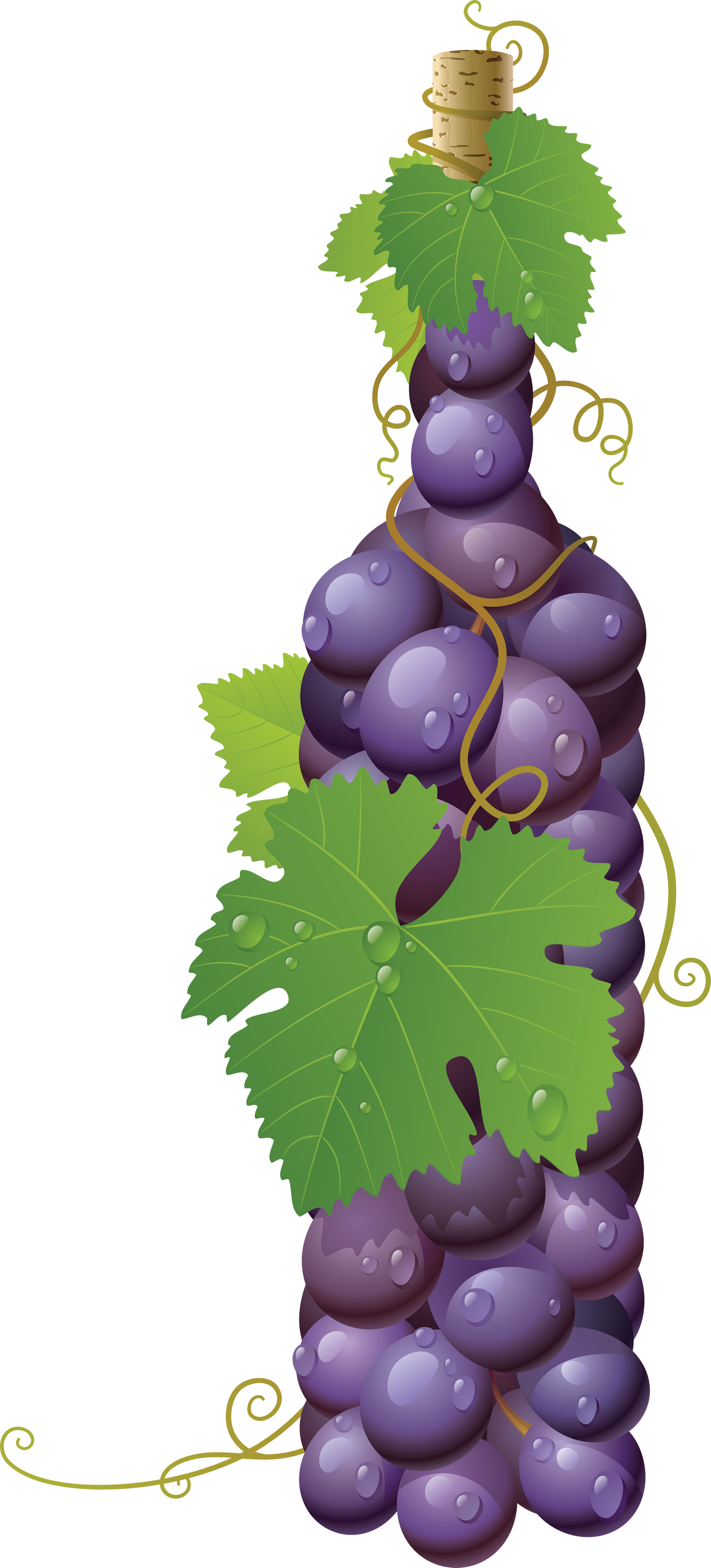 Winebottle out of Grapes PNG Image