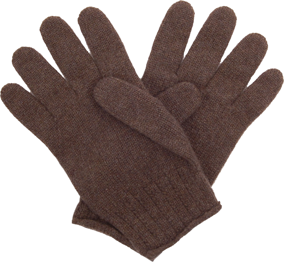 Winter Gloves PNG Image