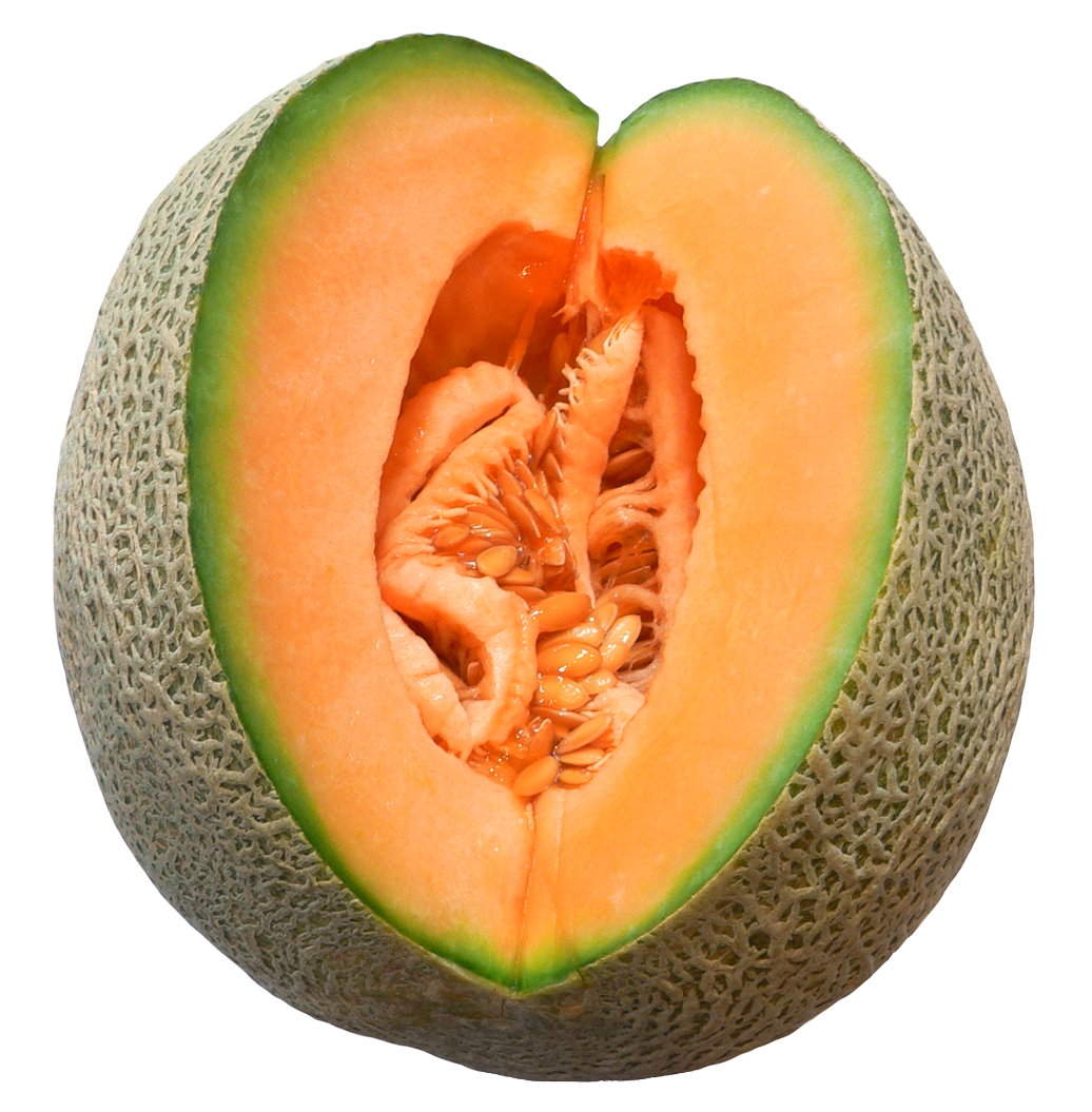 Winter Melon cut PNG Image