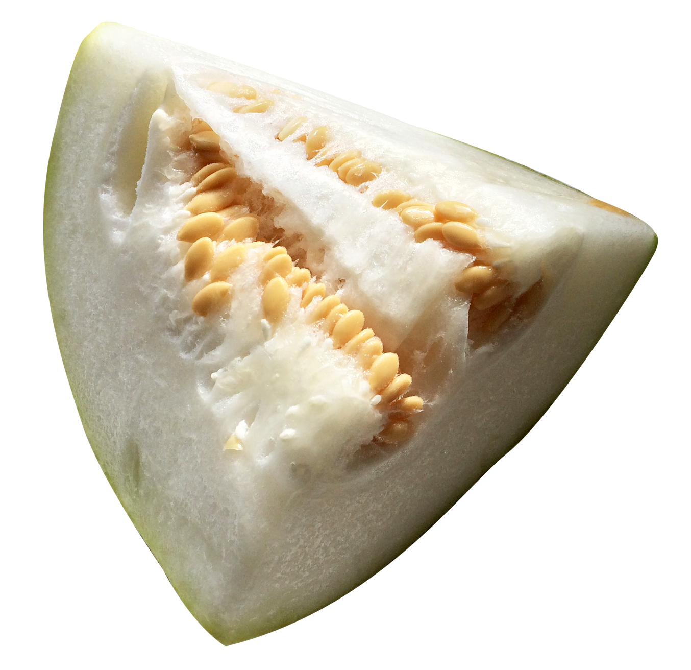 Winter  Melon PNG Image