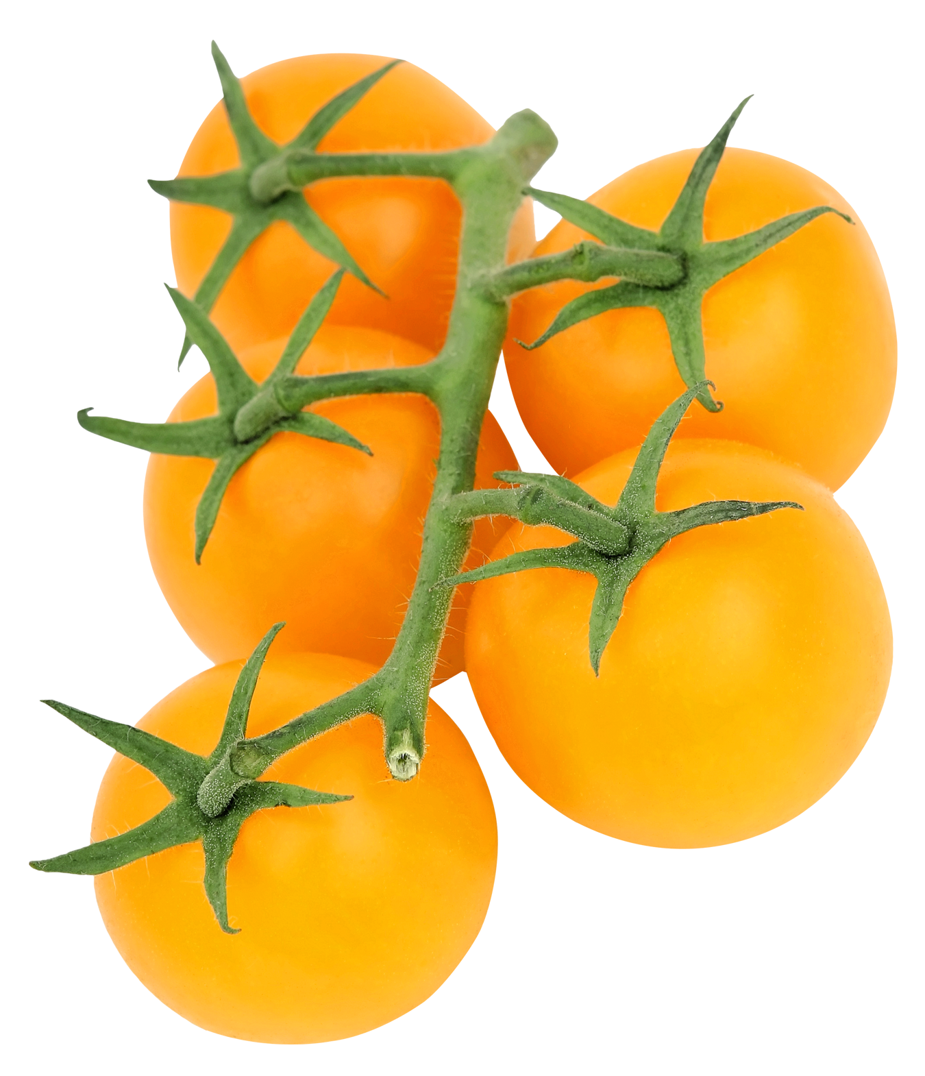 Yellow Tomato PNG Image