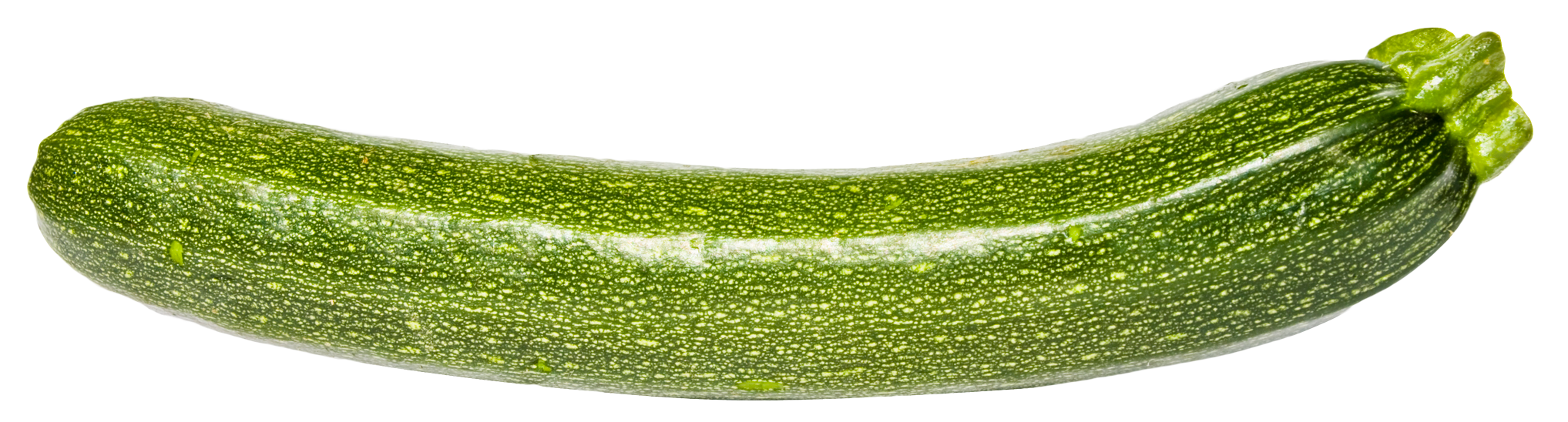 Zucchini PNG Image