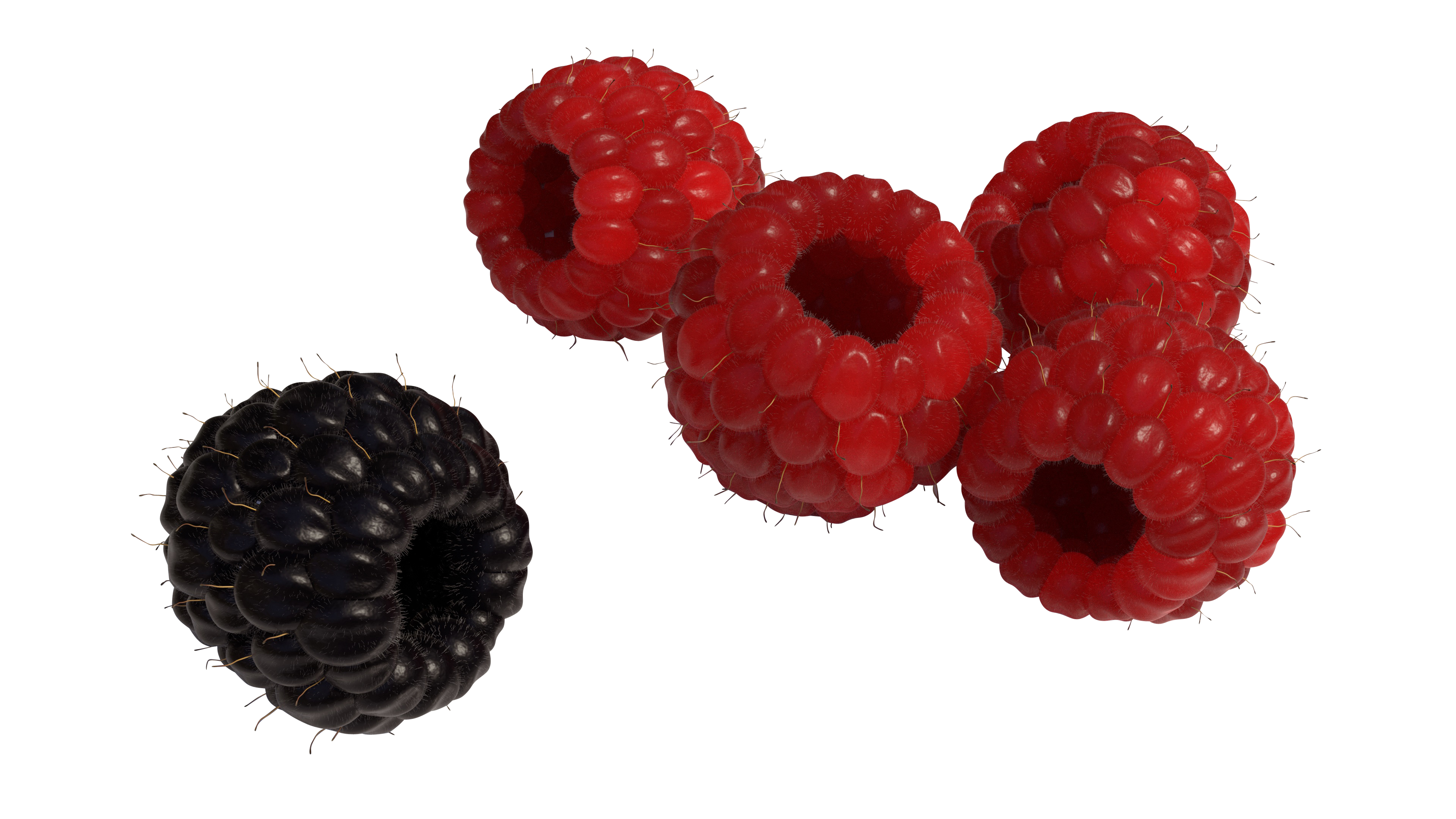 Red and Black Raspberry PNG Image