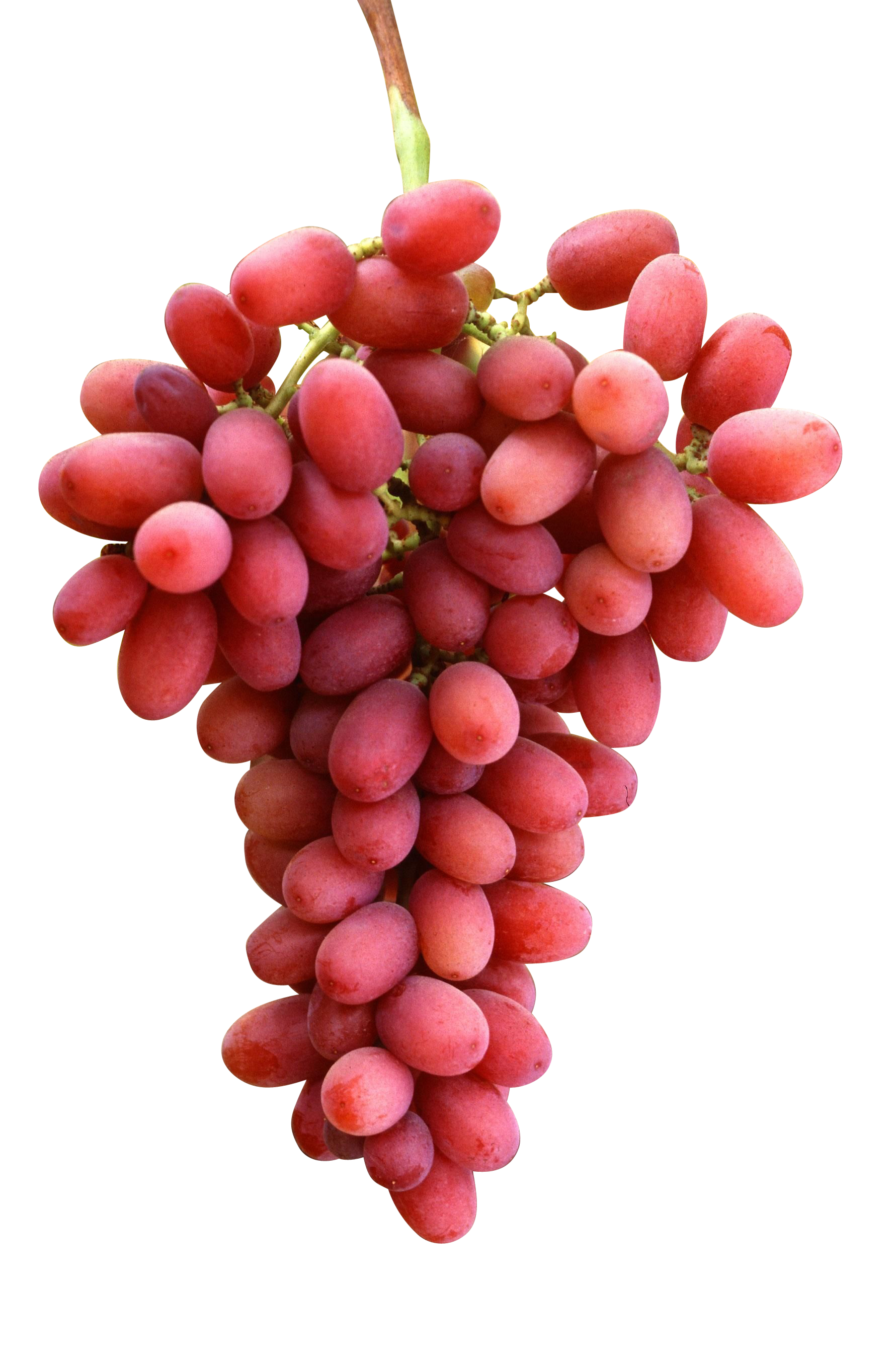Red Grapes PNG Image