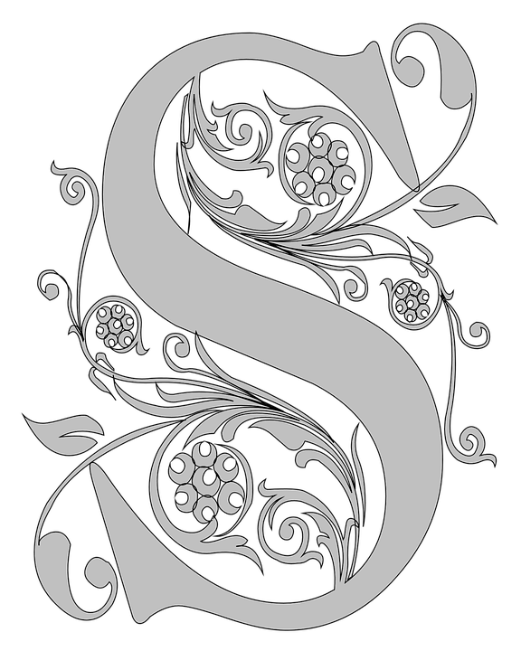 S Letter Art Design PNG Image