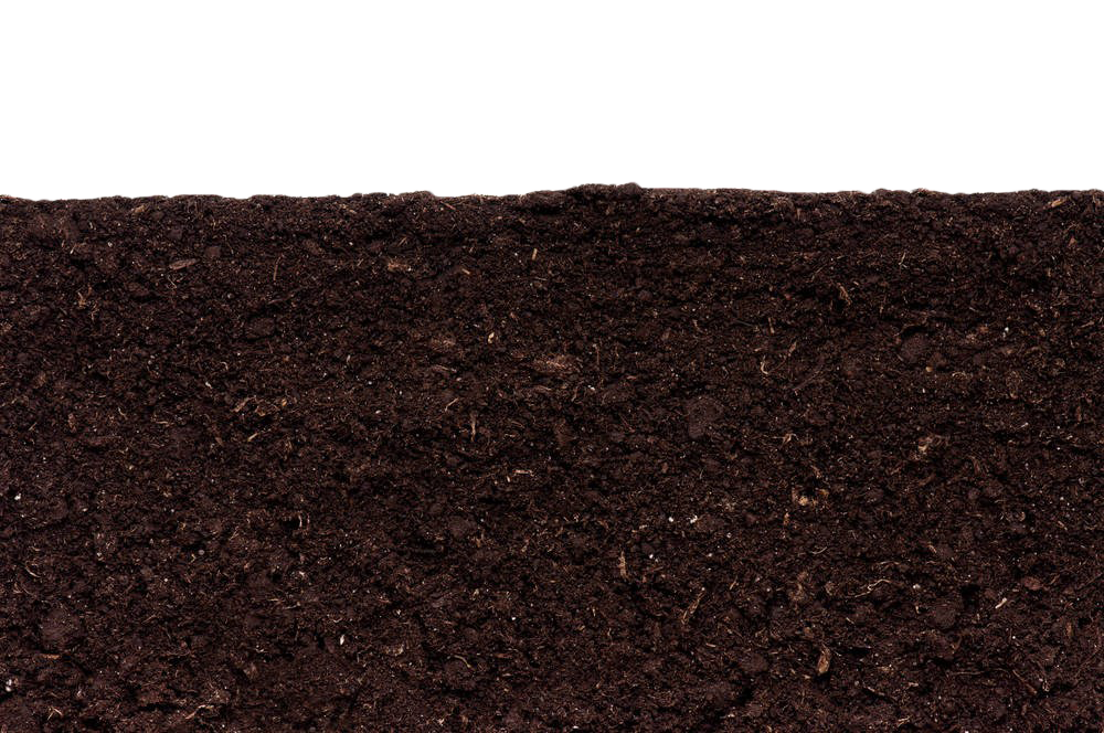 Soil PNG Image