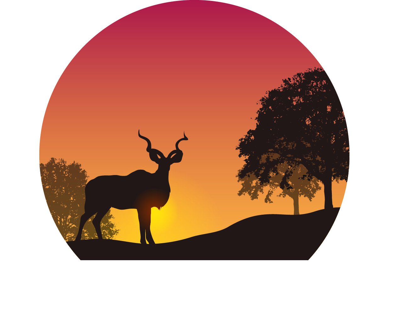 Sunset in the Wild PNG Image