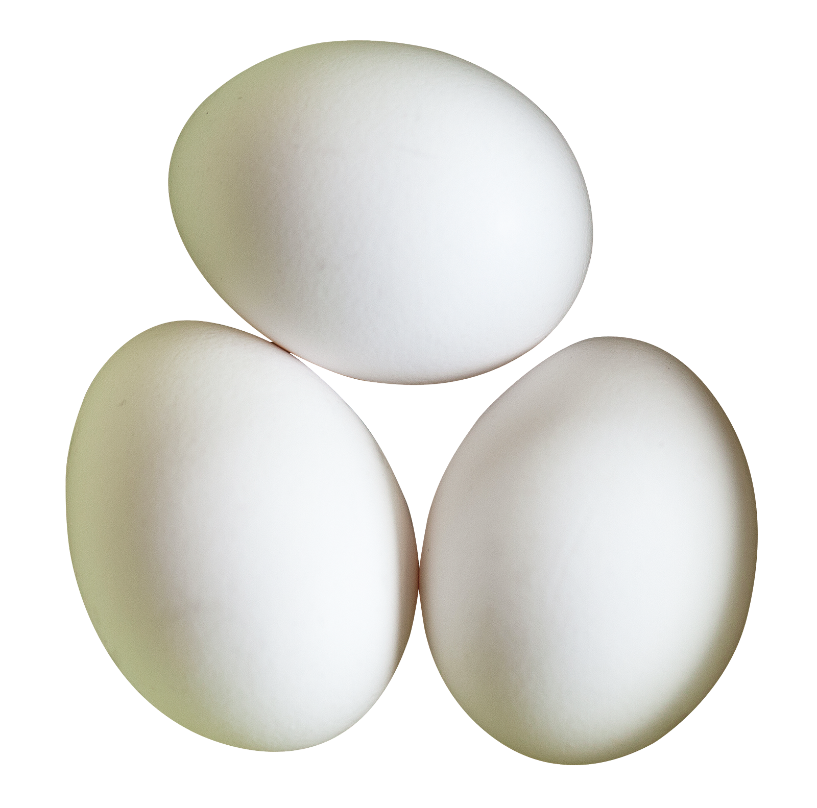 Three White Eggs PNG Image